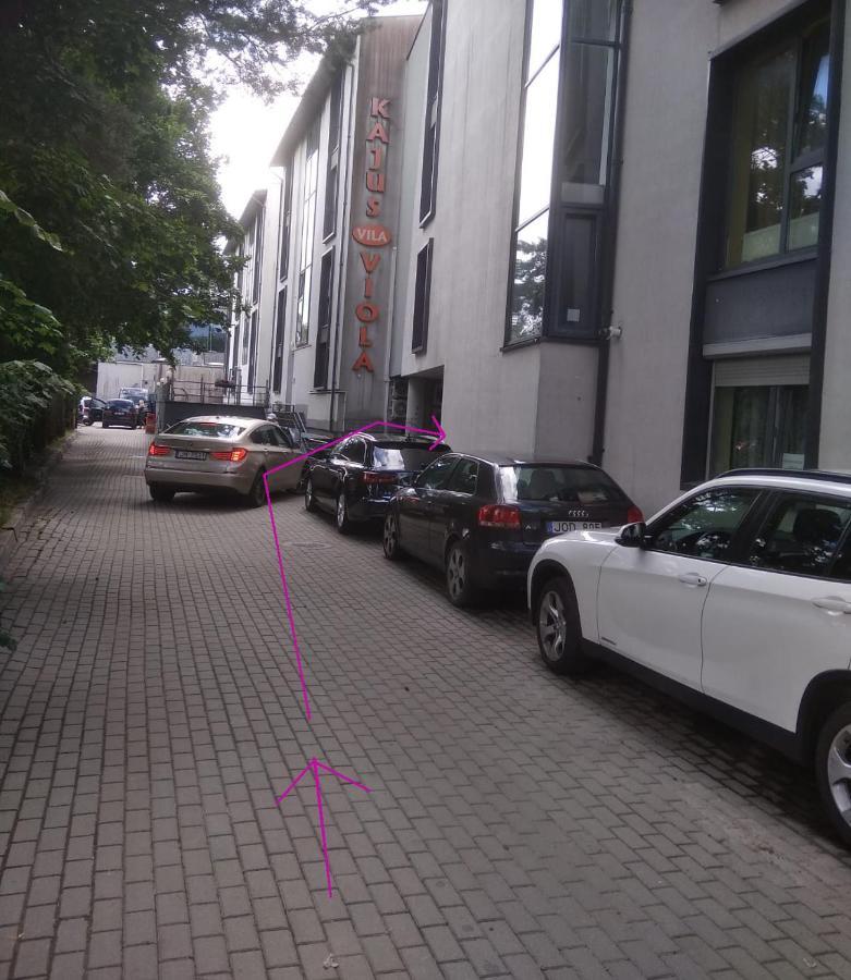 S.Neries Butas Daire Palanga Dış mekan fotoğraf